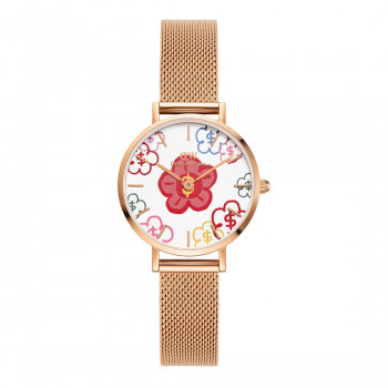 Orologio da donna Daniel Wellington DW00100722, 36 mm
