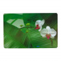 Asi Collection tovaglietta, 43,5 x 28 cm, motivo orchidee