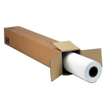 HP Everyday Matte Polypropylene D9R28A, 120 g/m², 91,4 cm x 61 m, anima da 3 pollici