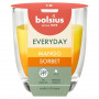 Bolsius Everyday candela profumata in vetro Ø70 x 80 mm, Mango Sorbet