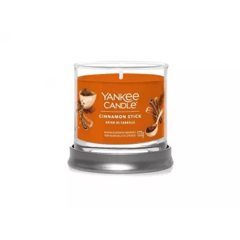 Yankee Candle Cinnamon Stick candela tumbler con 1 stoppino