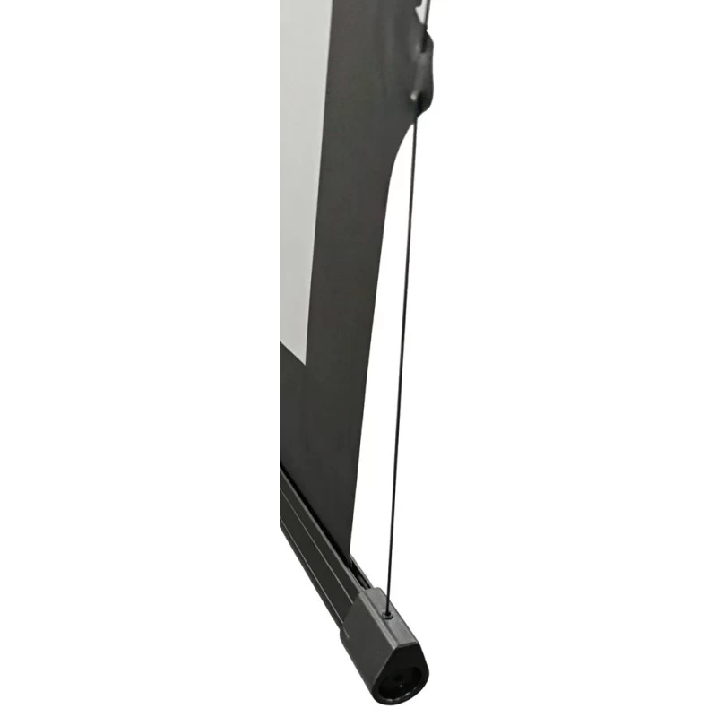Reflecta TensioLine Motor RC 87780 schermo per proiezione motorizzato, 224x224 cm, 1:1