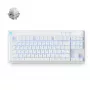 Mchose Mix 87 HW-Mix87-7 tastiera gaming, Mount Tai Magnetic Switch GT