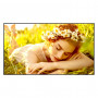LG 55UL5Q-M display LCD da 55 pollici, 3840 x 2160, 4K Ultra HD, 16:9