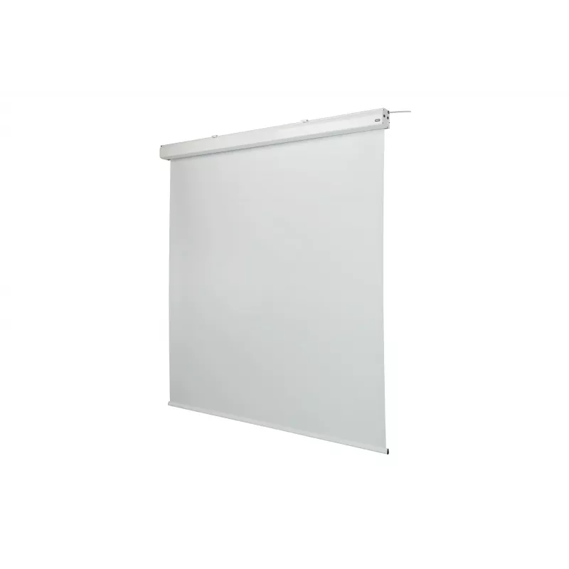 celexon Expert schermo per proiezione motorizzato, 130" (330 cm), 230 V