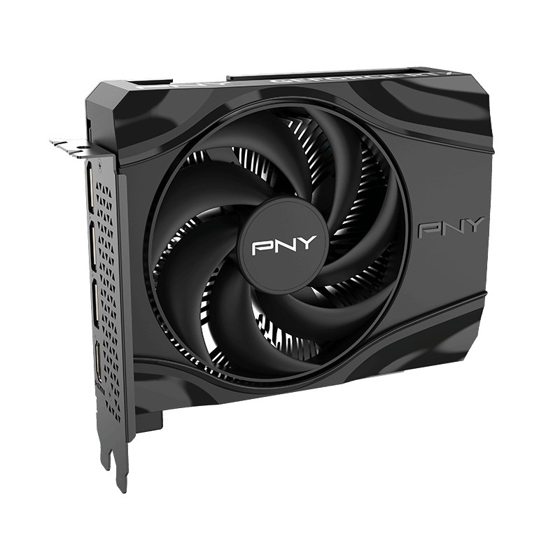 PNY GeForce RTX 5060 Single Fan scheda grafica, 8 GB GDDR7 (VCG50608SFXPB1)