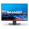 Sharp MultiSync EA241W monitor aziendale IPS da 24 pollici, 1920x1200, nero