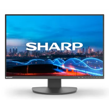 Sharp MultiSync EA241W monitor aziendale IPS da 24 pollici, 1920x1200, nero