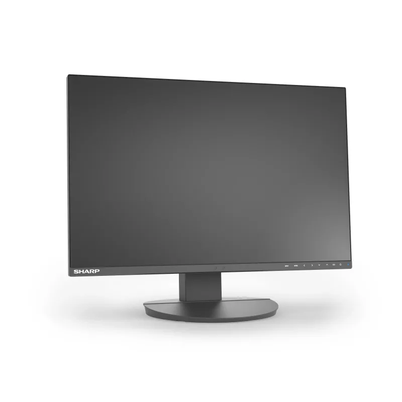 Sharp MultiSync EA241W monitor aziendale IPS da 24 pollici, 1920x1200, nero