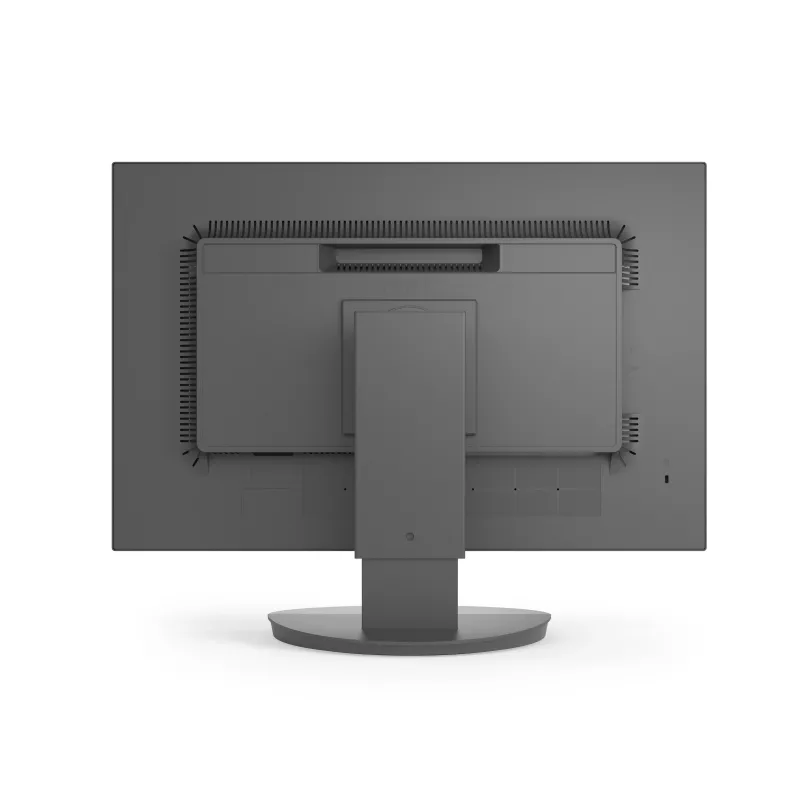 Sharp MultiSync EA241W monitor aziendale IPS da 24 pollici, 1920x1200, nero