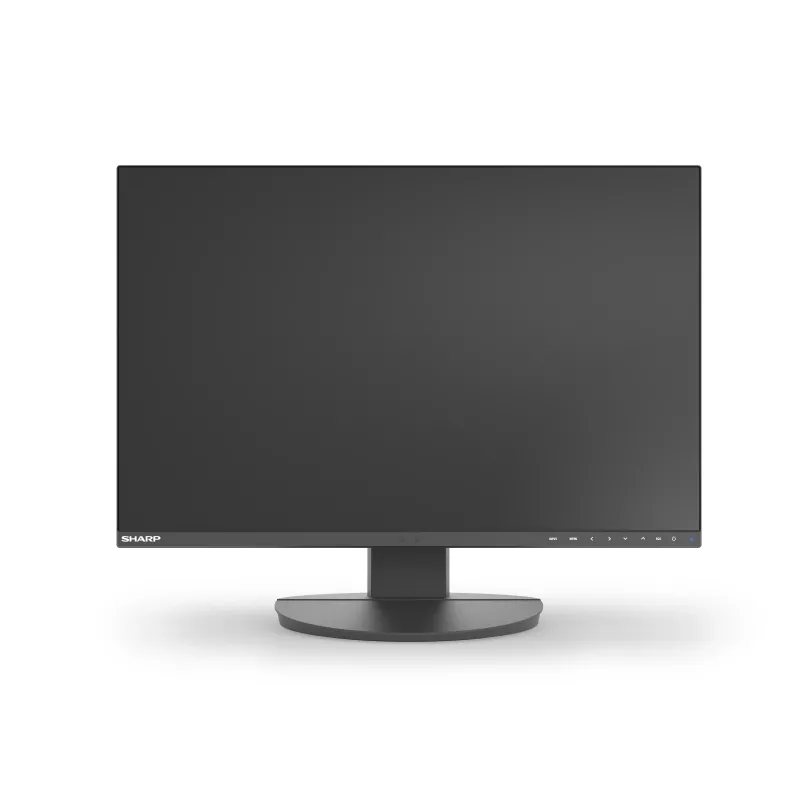 Sharp MultiSync EA241W monitor aziendale IPS da 24 pollici, 1920x1200, nero