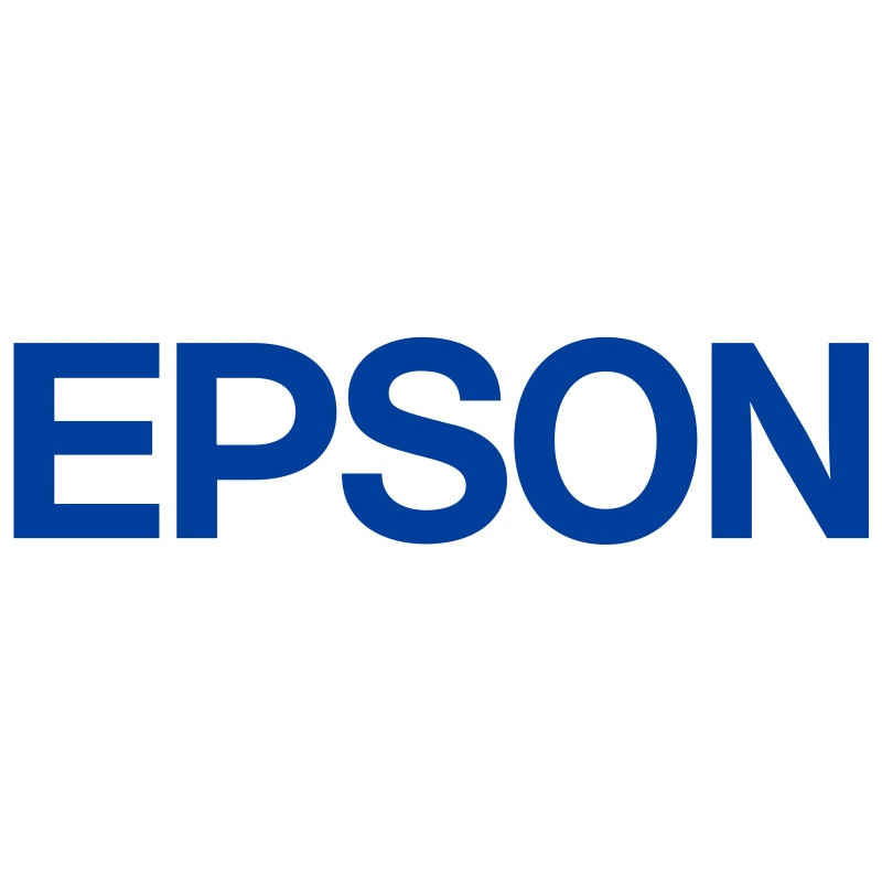Epson UltraChrome DG2 T55B3 (C13T55B300) 250 ml cartuccia d'inchiostro, magenta