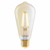 Osram SMART+ MATTER Filament Dimmable Classic Edison 53 824 lampadina intelligente, oro, E27, 6 W, bianco caldo, Wi-Fi