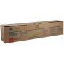 Develop TN-210 cartuccia toner, magenta