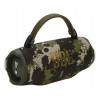 JBL Charge 6 altoparlante portatile Bluetooth, Squad (mimetico)