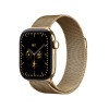 Apple Watch Series 12 GPS + Cellular 42 mm, cassa in titanio oro radioso, maglia milanese oro radioso