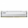 Modulo di memoria Klevv Fit V KD5AGU880-56K300Q DDR5-5600 CL30 da 16 GB