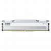 Modulo di memoria Klevv Fit V KD5AGU880-56K300Q DDR5-5600 CL30 da 16 GB