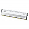Modulo di memoria Klevv Fit V KD5AGU880-56K300Q DDR5-5600 CL30 da 16 GB