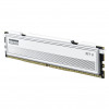 Modulo di memoria Klevv Fit V KD5AGU880-56K300Q DDR5-5600 CL30 da 16 GB