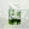 Yankee Candle Clean Cotton deodorante per auto da appendere
