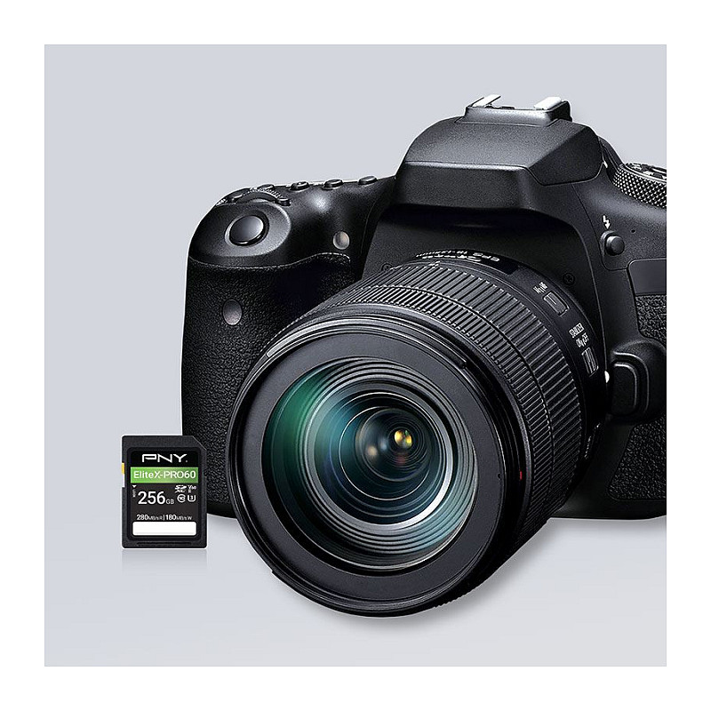 PNY EliteX-PRO60 scheda di memoria SDXC 256 GB, UHS-II, Class 10, P-SD256V60280EXP6-GE