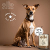 OLLO cibo umido per cani Pure Deer, 850 g