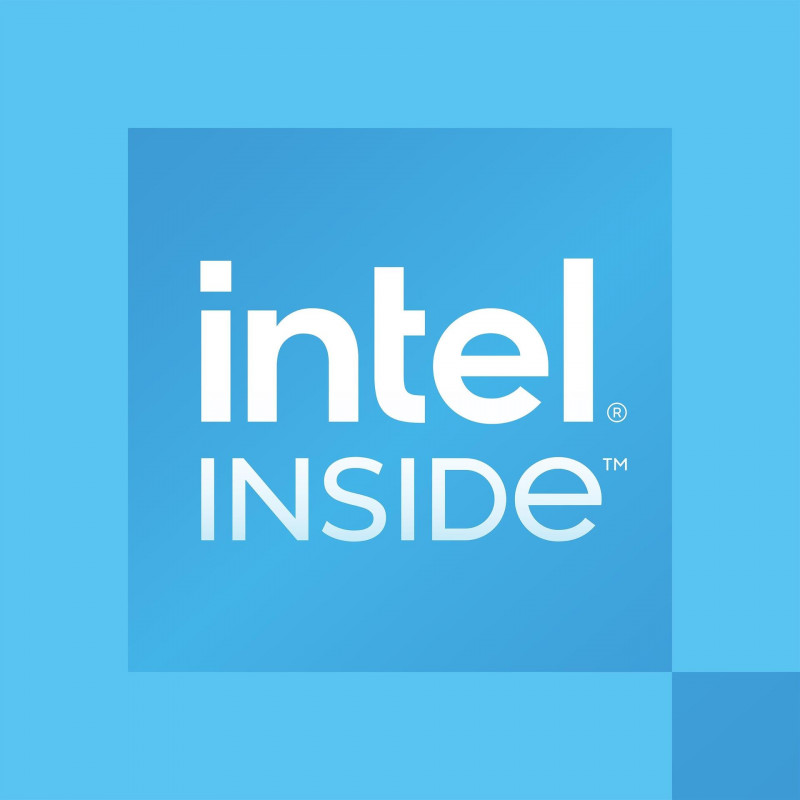 Processore Intel 300 per desktop, 3,9 GHz, 2 core, 4 thread, 6 MB cache, FCLGA1700, OEM (CM8071505091904)