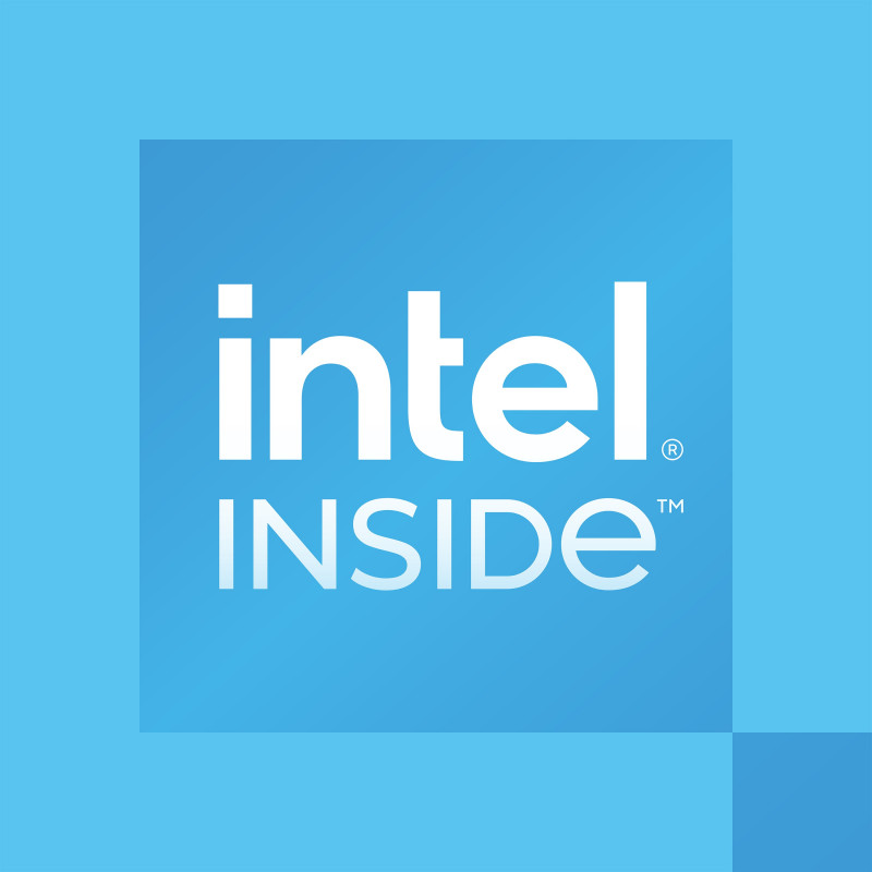 Processore Intel 300 per desktop, 3,9 GHz, 2 core, 4 thread, 6 MB cache, FCLGA1700, OEM (CM8071505091904)