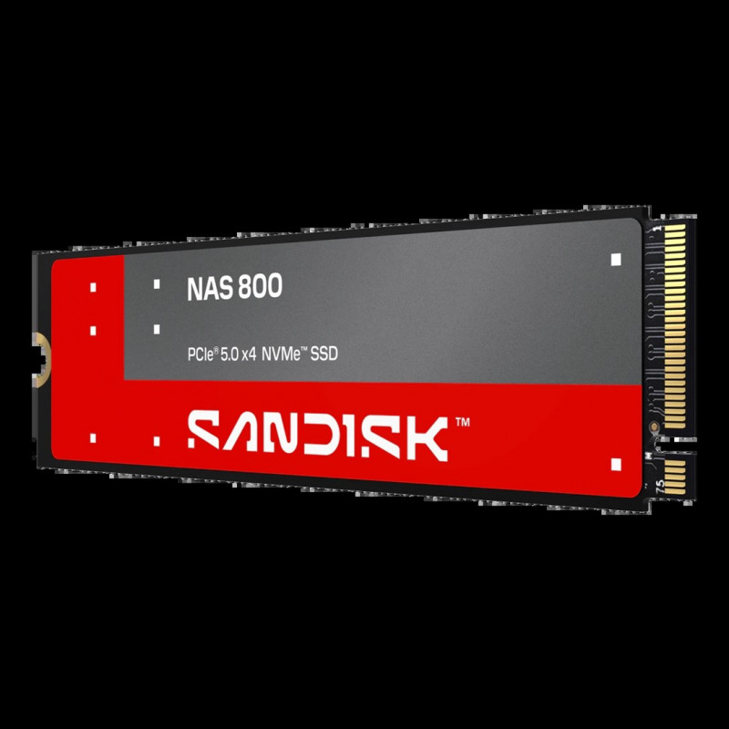 SanDisk NAS 800 960 GB SSD interno M.2 2280 NVMe Gen 5 (SDSNP2960GAN-000E0)
