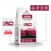 PUPIL Premium Mini ricco di manzo crocchette per cani, 10 kg