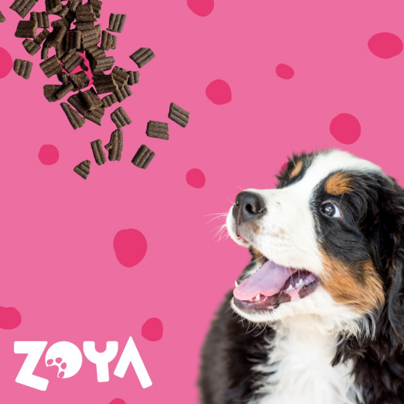 ZOYA ColdPRO Beef crocchette per cani, 1 kg