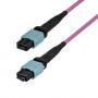 Cavo patch in fibra multimodale StarTech.com OM4MTP12BOFNP10M MTP/MPO-12 (10 m)
