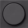Gira 065028 Placca per dimmer System 55, Standard 55, E2, Event, Event Clear, Event Opaque, Esprit, ClassiX, antracite
