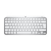 Tastiera Logitech Master Series MX Keys Mini for Mac (920-012647)