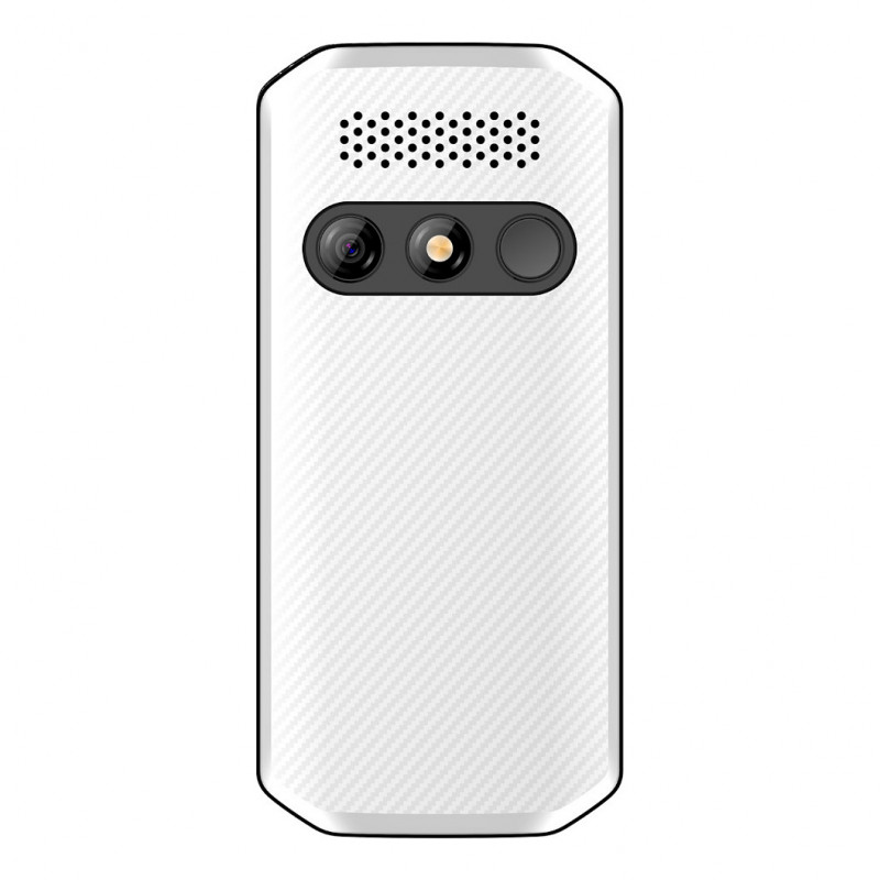 Beafon SL280pro LTE 4G Silver Line telefono cellulare con tasti grandi, nero-bianco