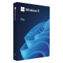 Microsoft Windows 11 Pro BOX, 64-bit, polacco, unità flash USB (HAV-00209)