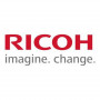 Ricoh D0BN2243 Developer giallo