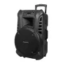 ACTIVE KEY Altoparlante attivo con 2 microfoni UHF wireless, SD, Bluetooth, FM, USB, 60 Watt