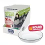 ANIMAL ISLAND Cibo Umido per Gatti con Pollo e Quaglia 12x85g + Piatto in Ceramica