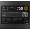 APNX DELUXE G1 750 (nero, 750 Watt)