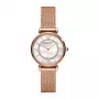 Armani Orologio da donna AR11320 32mm Bracciale in acciaio inossidabile Mesh Quarzo