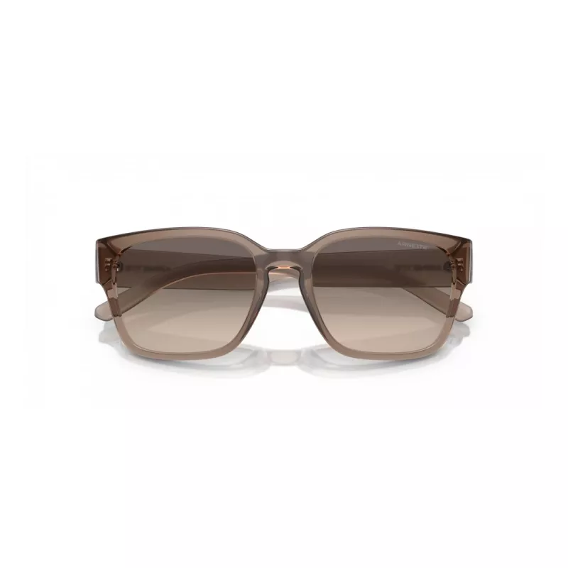 Arnette AN4325-290613 Occhiali da sole da uomo nero opaco grigio scuro 53mm