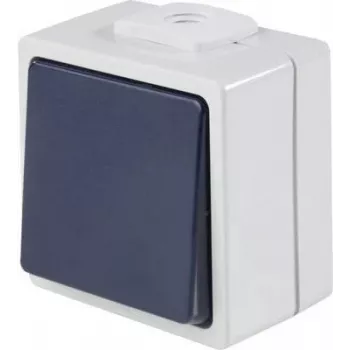 AS SCHWABE 62452 pulsante a pressione da parete, IP54, grigio, 250V/10A, 1NO