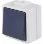 AS SCHWABE 62452 pulsante a pressione da parete, IP54, grigio, 250V/10A, 1NO