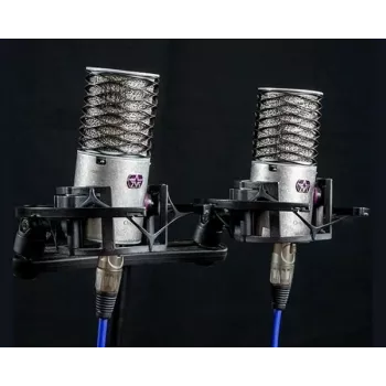 Aston Microphones Origin coppia stereo a condensatore
