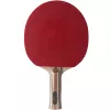 Atemi 3000 Pro racchetta da ping pong concava