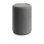 Audio Pro A10 MkII Linkplay Diffusore multiroom wireless, grigio scuro