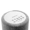 Audio Pro G10 Smart Speaker grigio chiaro