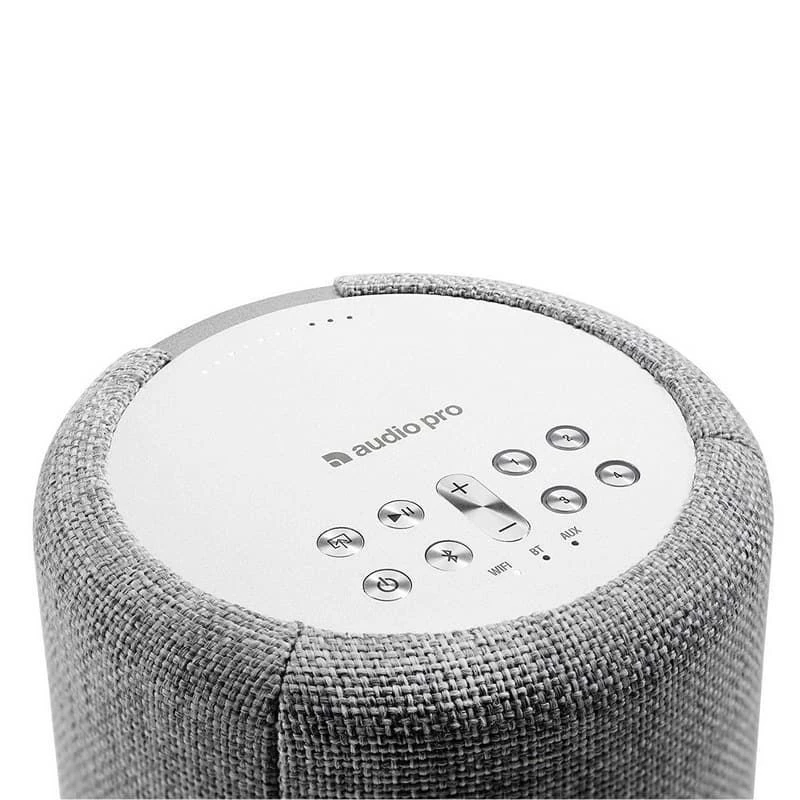 Audio Pro G10 Smart Speaker grigio chiaro